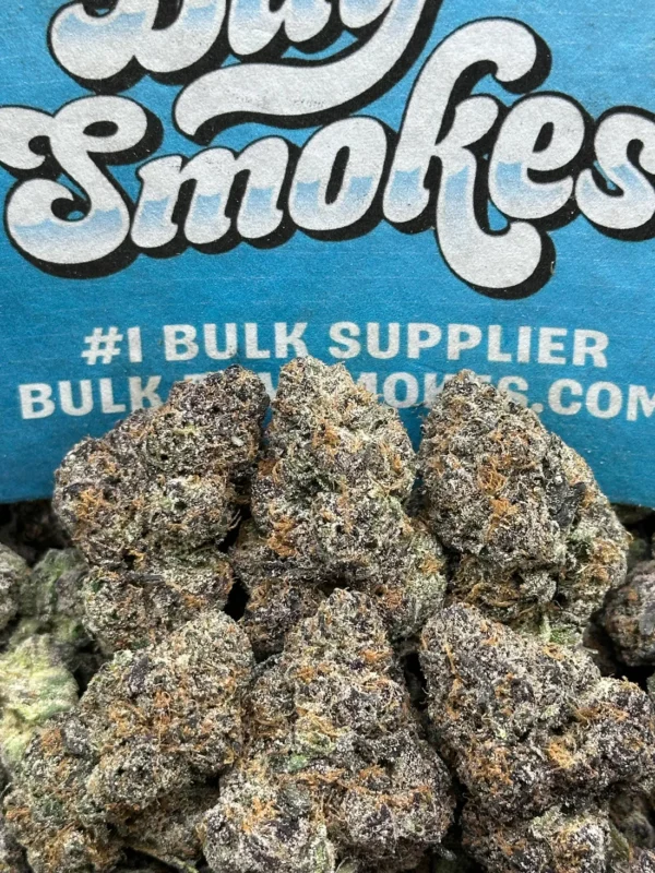 Jealousy (Indica)